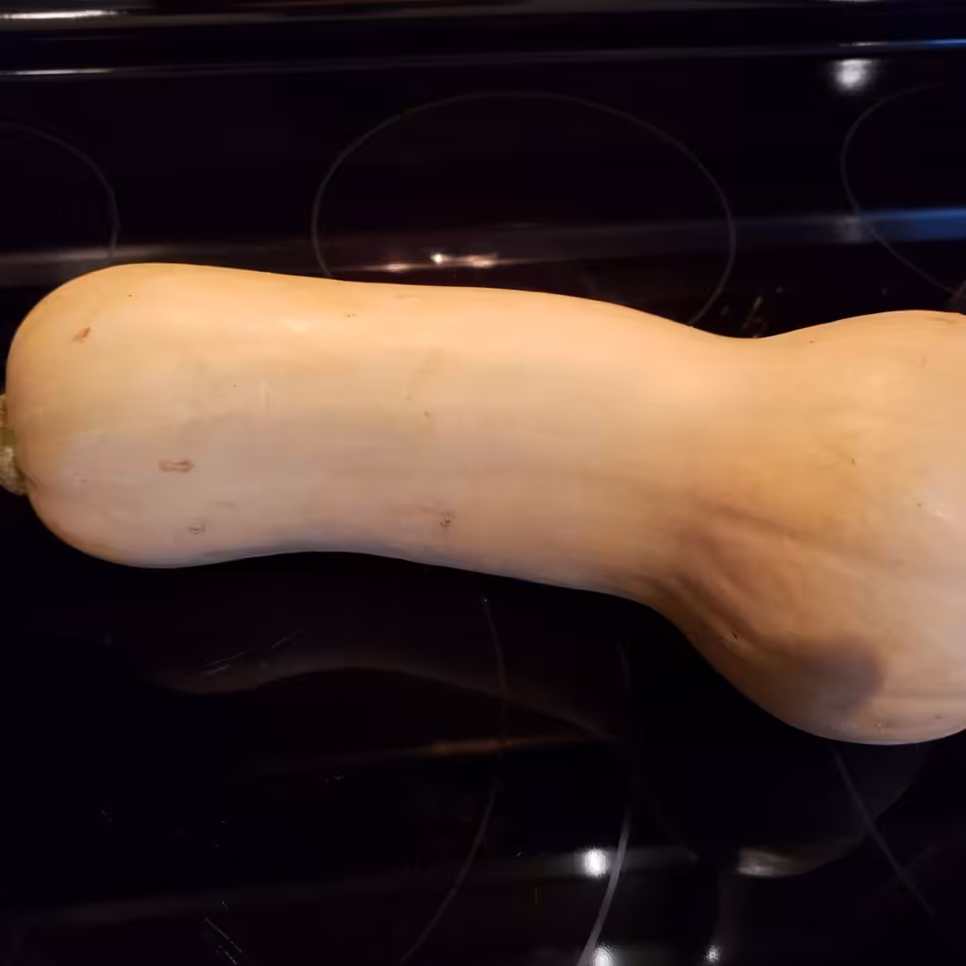 La photo représente l'ingrédient : Courge musquée