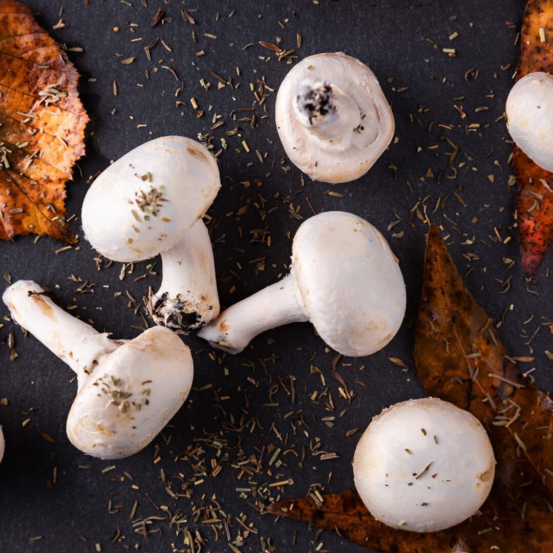 La photo représente l'ingrédient : Champignons de Paris