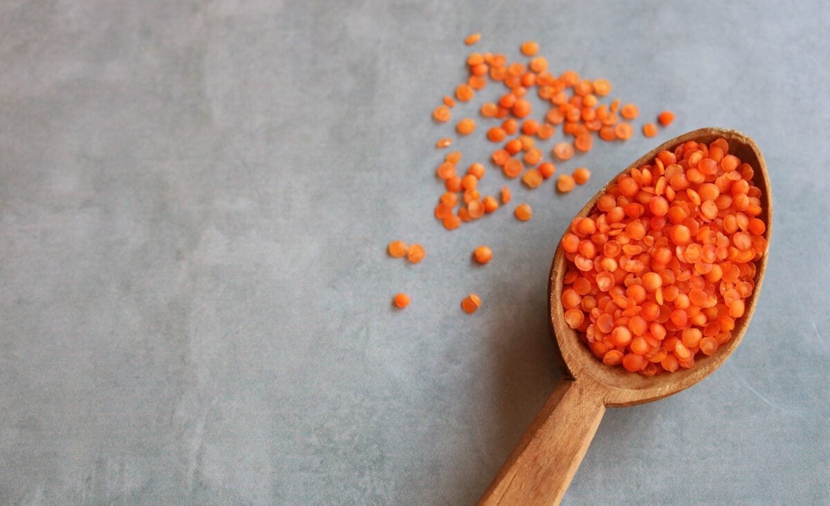La photo représente l'ingrédient : Lentilles corail