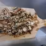 Crispy Sardine Rillettes : La photo est une représentation de l'étape 3