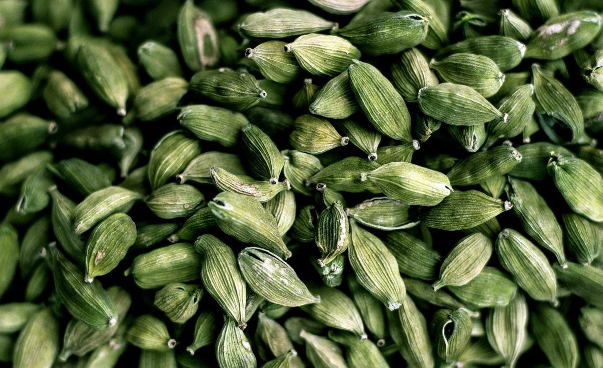 La photo représente l'ingrédient : Cardamom