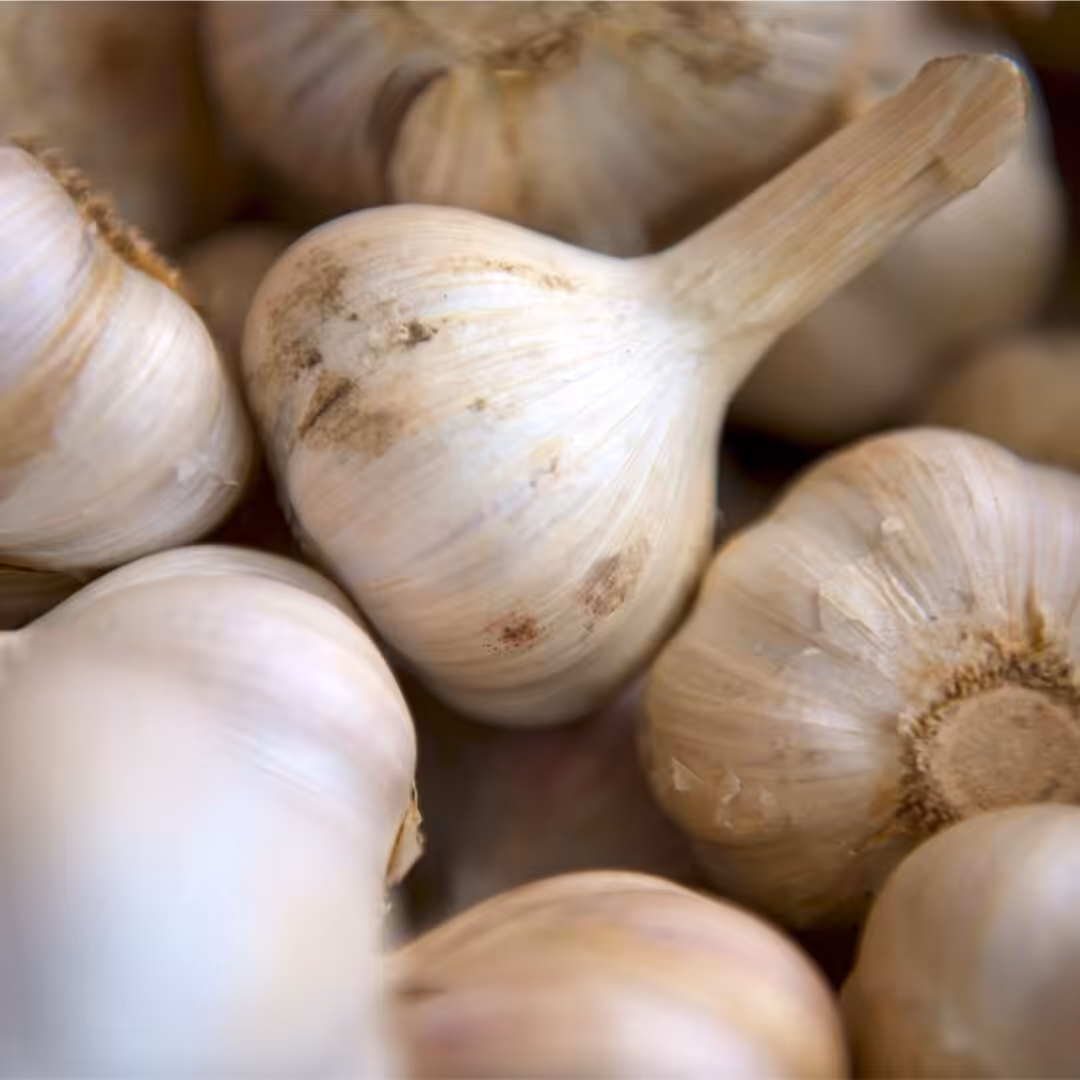 La photo représente l'ingrédient : Garlic Cloves