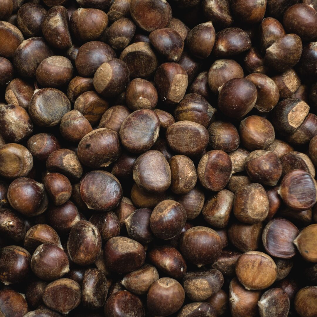 The photo shows the ingredient: Chestnuts