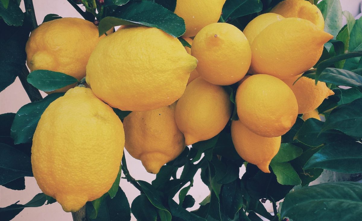 Photo représentant l'ingrédient : Citron jaune