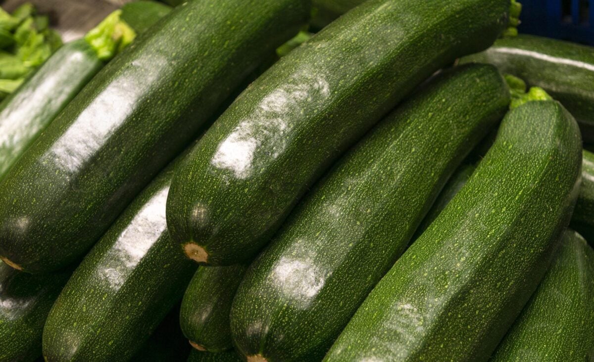 La photo représente l'ingrédient : Zucchini