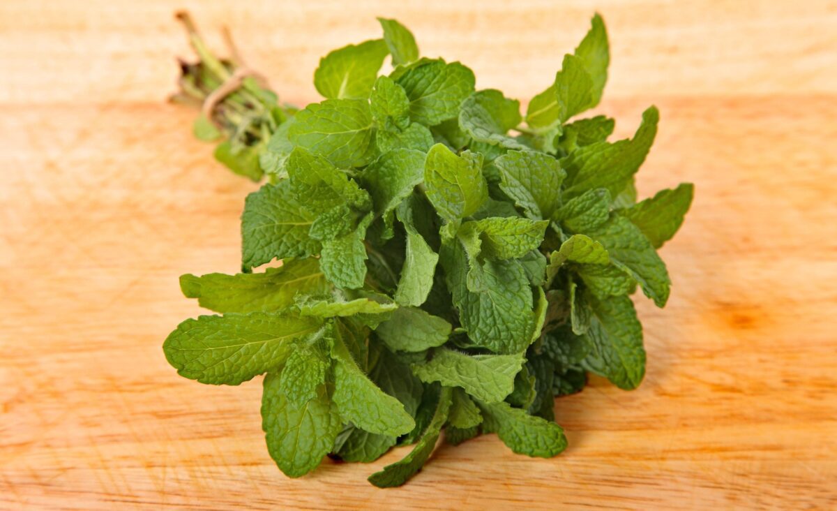 La photo représente l'ingrédient : Fresh mint