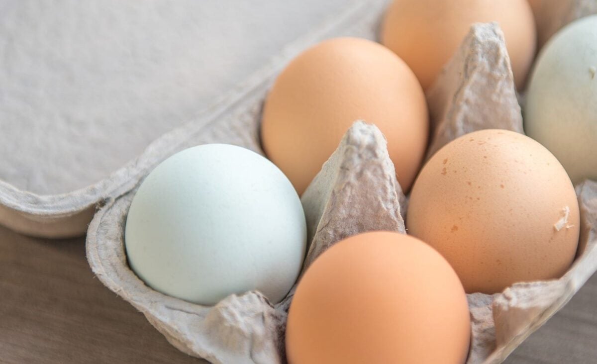 Photo représentant l'ingrédient : Oeufs