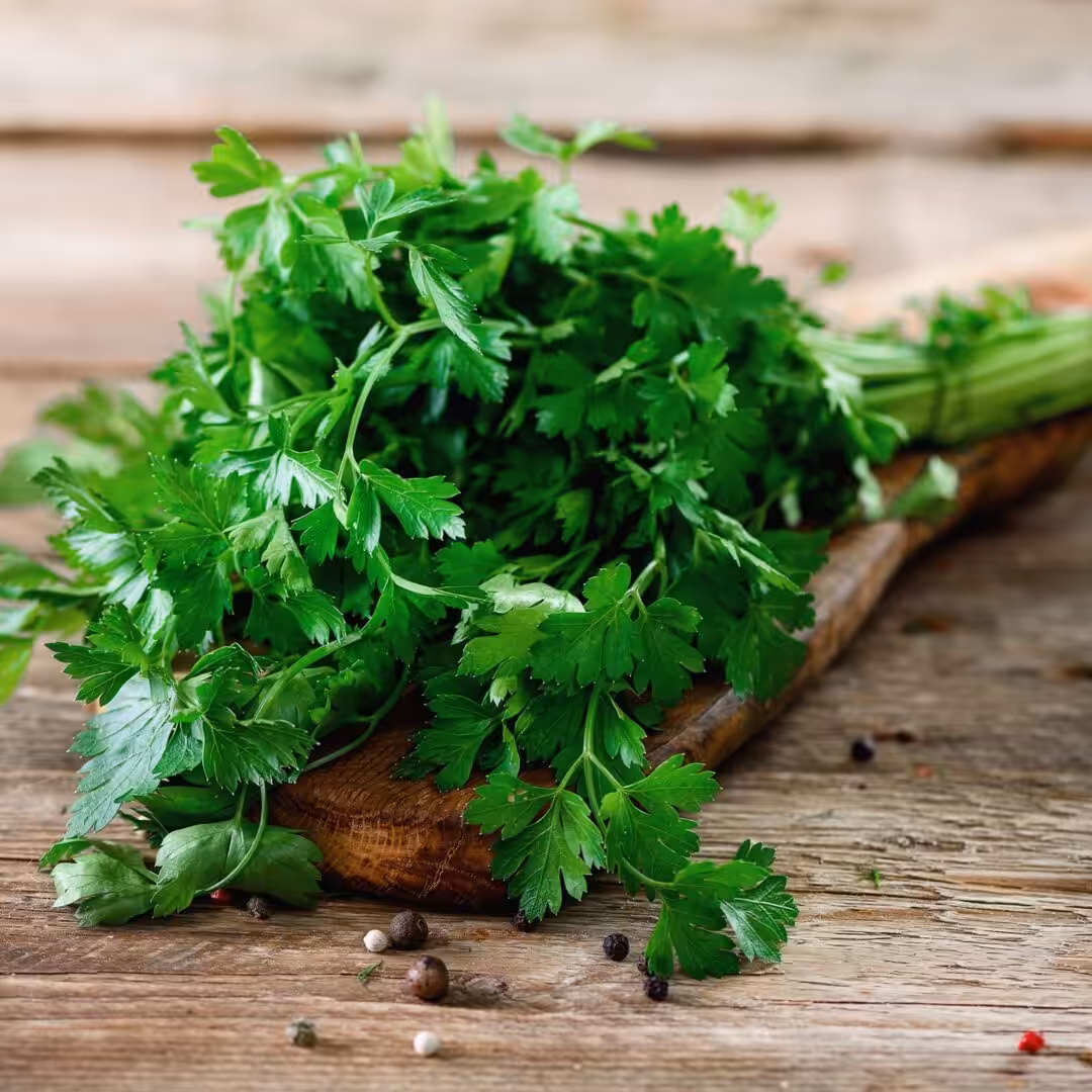 La photo représente l'ingrédient : Fresh parsley