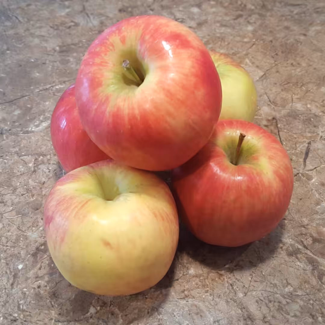 The photo shows the ingredient: Cortland Apple