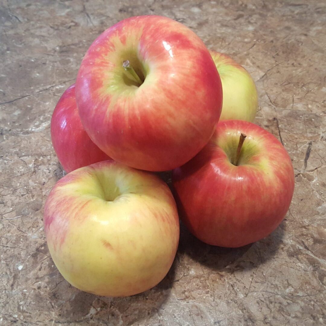 The photo shows the ingredient: Cortland Apple