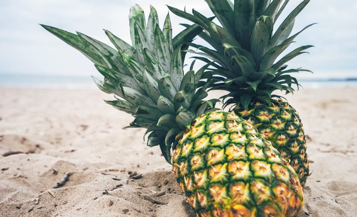 La photo représente l'ingrédient : Pineapple