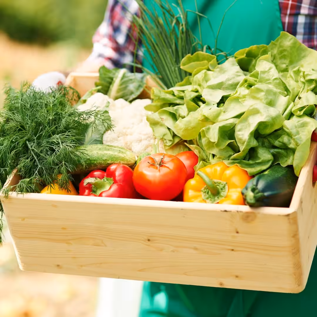 La photo représente l'article de lecture culinaire : Les légumes et fruits du printemps