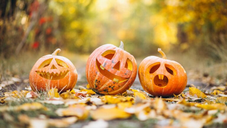 La photo représente l'article de lecture culinaire : Tout ce que vous devez savoir sur Halloween !