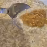 Gruau à la banane, fraises, graines de Chia, beurre d'arachide et sirop d'érable : La photo est une représentation de l'étape 2