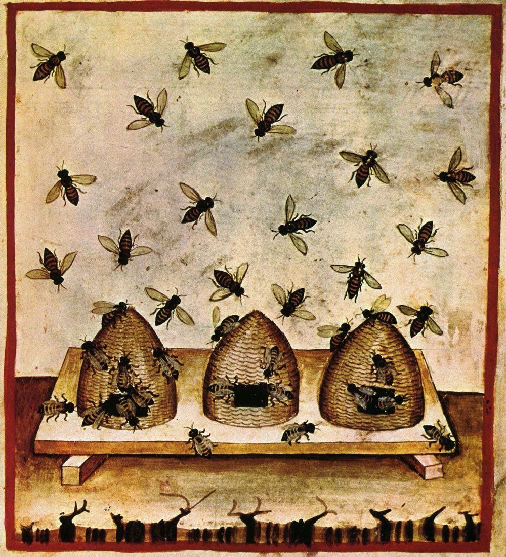 Ruches représentées dans le tacuinum sanitatis. Le Tacuinum sanitatis (également appelé Taccuinum sanitatis) est un manuel médiéval sur la santé