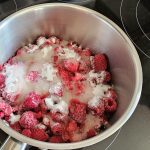 Raspberry sorbet with Ice Cream Maker: The image is a representative of the step 1