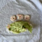 Shrimp Spring Rolls: The image is a representative of the step 6