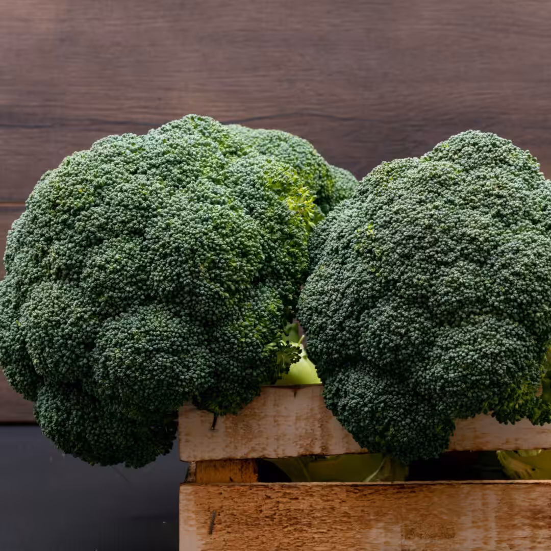 La photo représente l'ingrédient : Broccoli