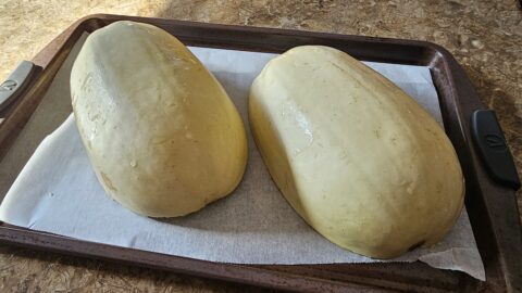 Courge spaghetti farcie au bœuf épicé crémeux : La photo est une représentation de l'étape 1