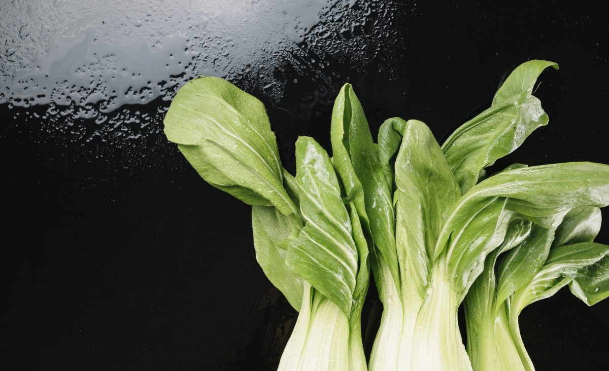 La photo représente l'ingrédient : Bok choy
