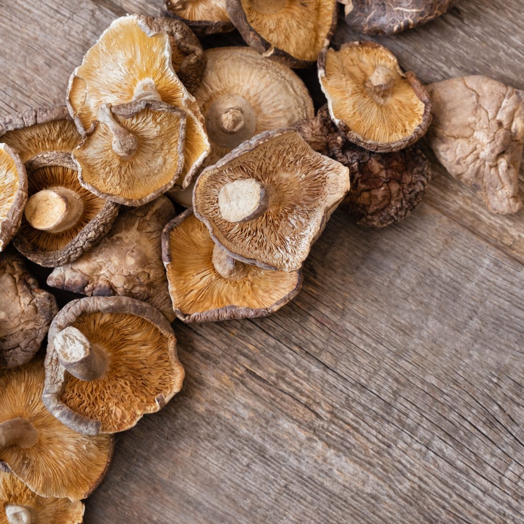 La photo représente l'ingrédient : Champignons shiitake
