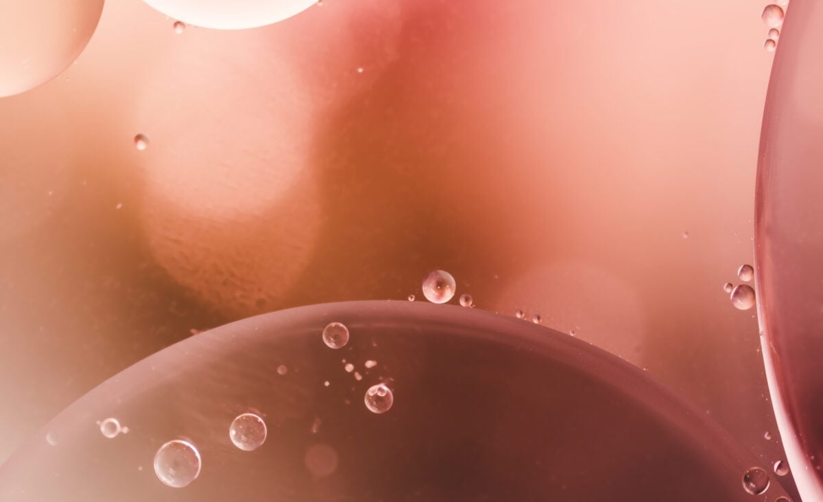 Le collagène : comprendre cette protéine dont tout le monde parle