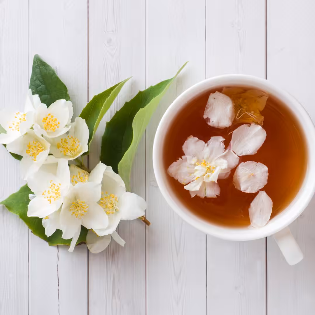 La photo représente l'ingrédient : Jasmine Tea
